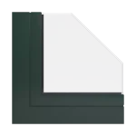 Fir Green [ RAL-6009 ]